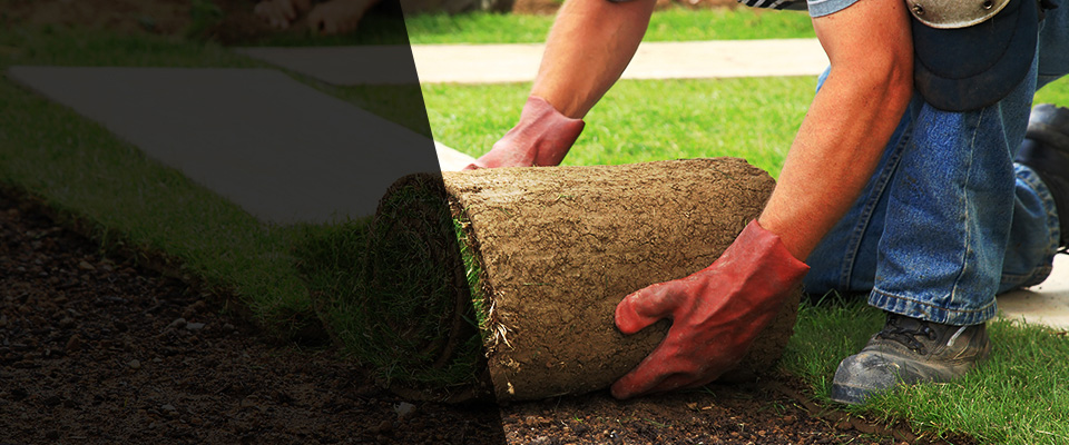 Jewett City Landscapers